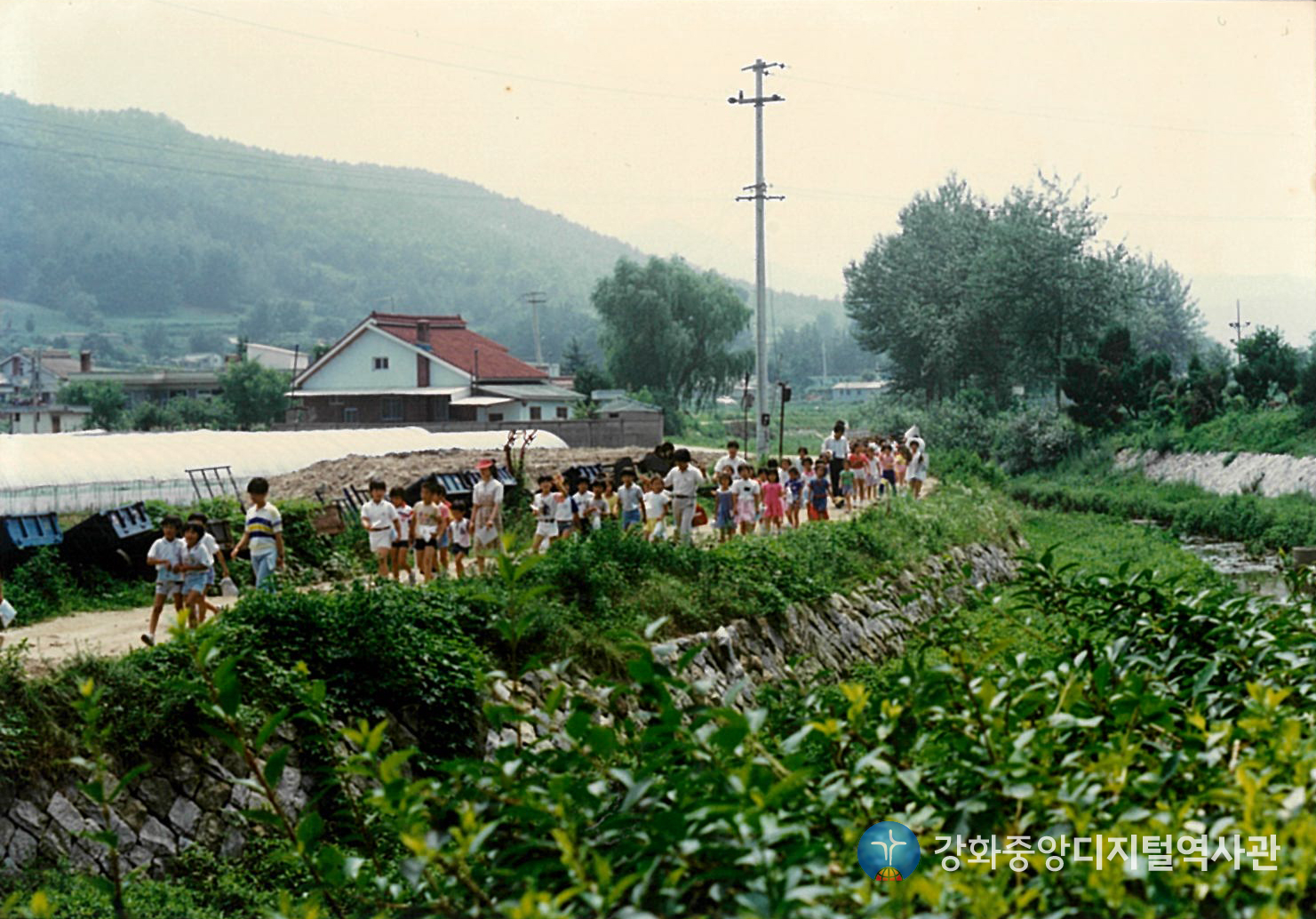 1987_023.jpg