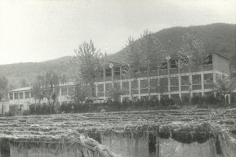 덕신고등학교 전경(1).jpg